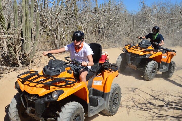 ATV Migriño Beach and Desert: Mangroves, Dunes, and Pacific Views photo 2