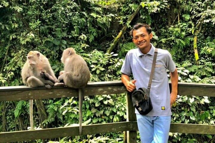 Best of Ubud Full-Day Private Tour: Monkey Forest, Rice Terraces & Temples photo 2