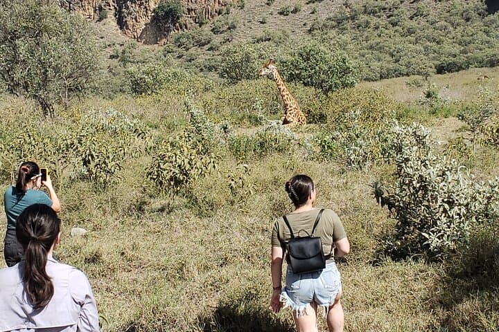 Hells Gate & Lake Naivasha Day Trip — Bike the Gorge and Boat with Hippos photo 2