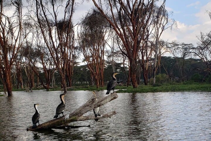 Hells Gate & Lake Naivasha Day Trip — Bike the Gorge and Boat with Hippos photo 4