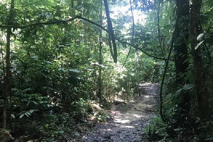 Khao Sok Jungle Trek and Canoe Day Trip from Khao Lak photo 4