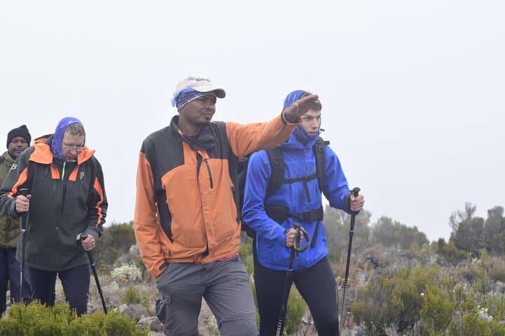 Affordable 6-Day Kilimanjaro Climb via Marangu Route — Moshi to Uhuru Peak photo 4