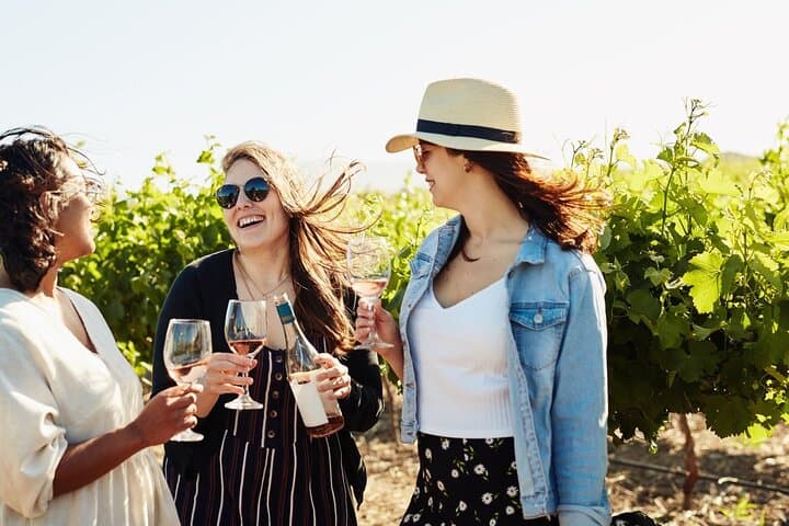 Cape Winelands Full-Day Private Wine Tour — Franschhoek, Paarl & Stellenbosch photo 1