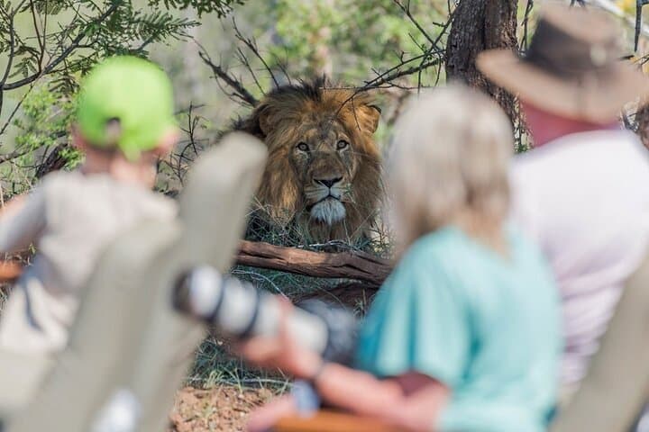 Best of South Africa: 8-Day Safari, Panorama Route & Cape Town Highlights photo 5