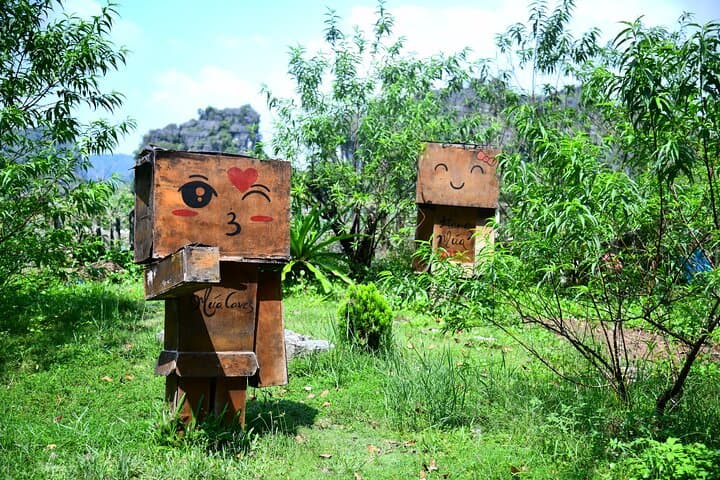 Ninh Binh in Two Days: Tam Coc, Mua Cave & Bird Sanctuary Small-Group Escape from Hanoi photo 4