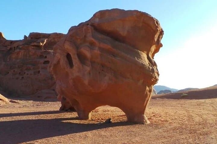 Classic 6-Day Jordan: Petra, Wadi Rum & Dead Sea Private Tour photo 6