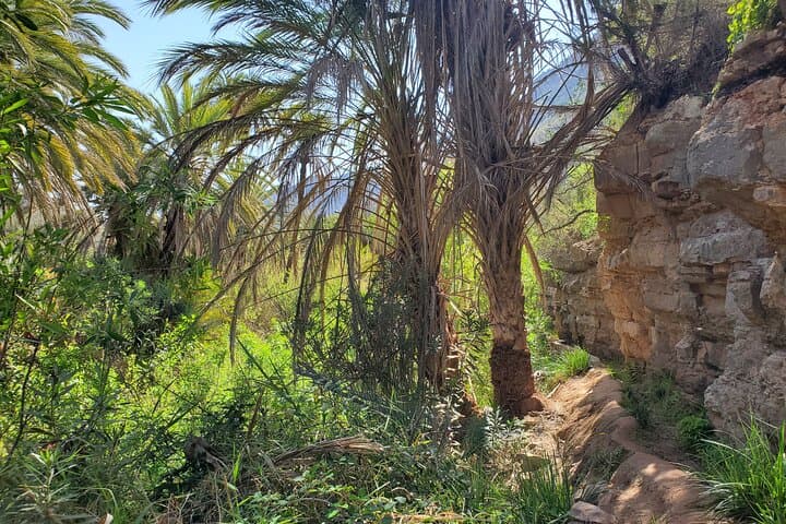 Agadir Paradise Valley & Timlaline Dunes — Day Trip with Camel Ride and Lunch photo 5