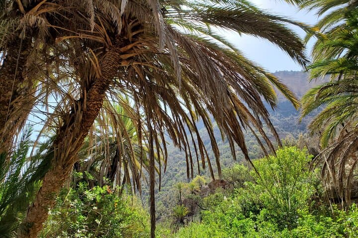 Agadir Paradise Valley & Timlaline Dunes — Day Trip with Camel Ride and Lunch photo 6