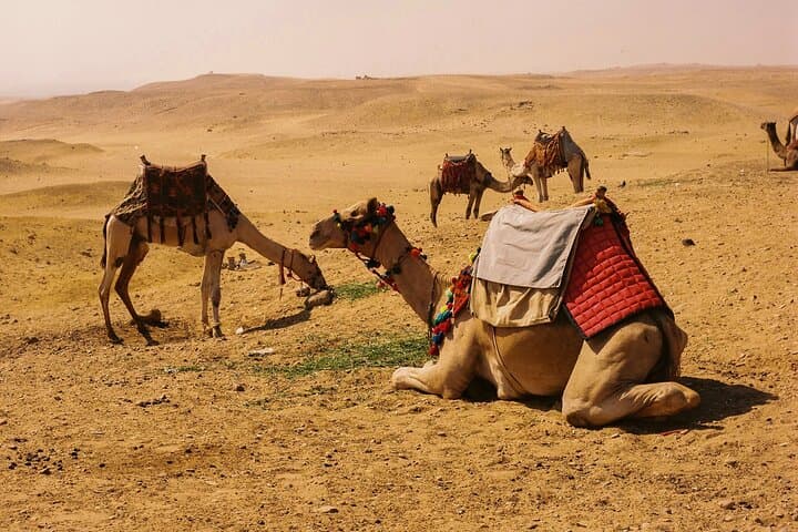 Quad Tour Through the Giza Pyramids: Desert Ride & Plateau Views photo 6