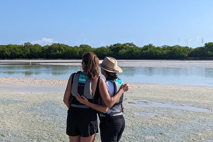 2-Hour Private Kayak Tour in Ciénaga de Chuburná — Merida Mangrove Wildlife Paddle photo 1