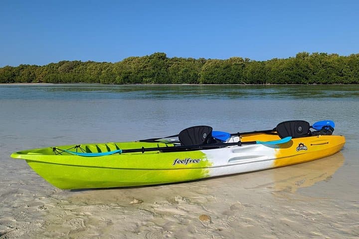 2-Hour Private Kayak Tour in Ciénaga de Chuburná — Merida Mangrove Wildlife Paddle photo 3