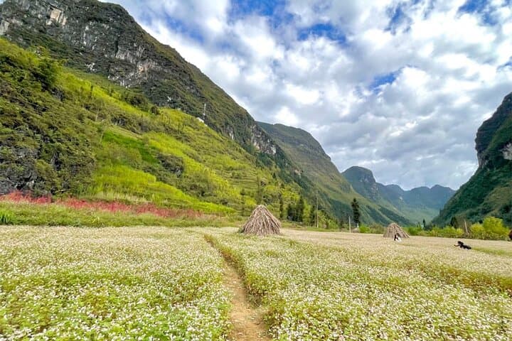 Ha Giang Loop: 5-Day Guided Adventure from Hanoi — Ma Pi Leng, Dong Van & Nho Que River photo 4