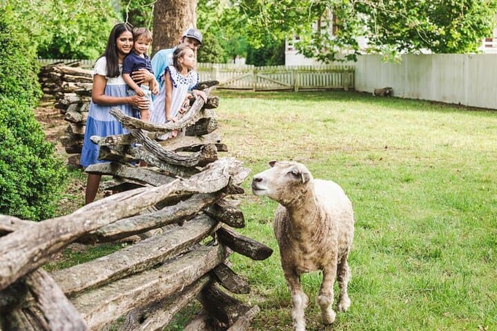 Explore Colonial Williamsburg Living History Trades and Revolutionary Sites photo 5