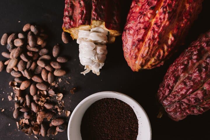 Private Luxury Cacao Hacienda Experience from Guayaquil photo 3