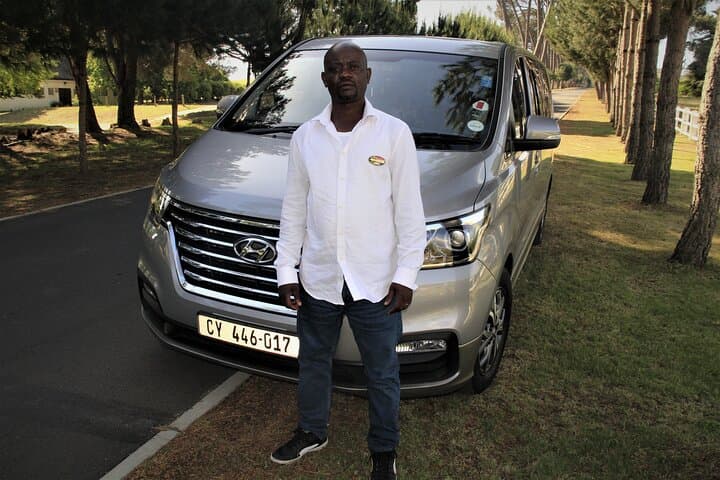 Full-Day Private Chauffeur Drive in Cape Town: Cape Point, Winelands & Boulders Beach photo 3