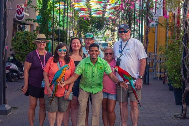 Half-Day Puerto Plata City Tour: Rum, Amber, Cigars & Chocolate