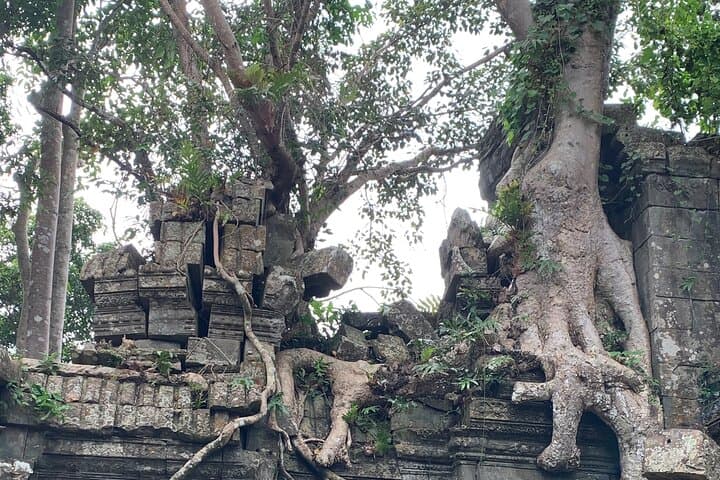 Off-the-Beaten-Path Temples Around Siem Reap: Beng Mealea, Lolei & Village Trails photo 2
