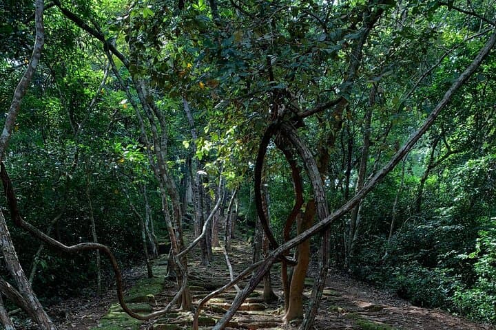 Off-the-Beaten-Path Temples Around Siem Reap: Beng Mealea, Lolei & Village Trails photo 6