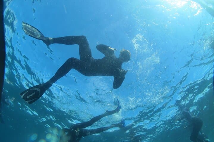 Batemans Bay Kayak Snorkel: 3-Hour Guided Sea Kayaking & Snorkeling Adventure photo 3