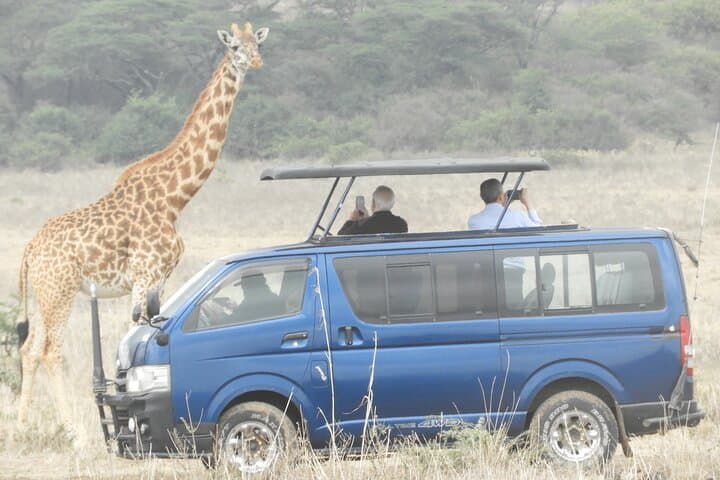 Morning Safari at Nairobi National Park and Giraffe Centre Visit: A Day of Wildlife Adventure Near Nairobi