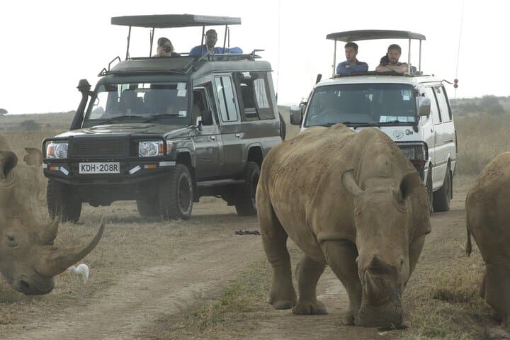 Morning Safari at Nairobi National Park and Giraffe Centre Visit: A Day of Wildlife Adventure Near Nairobi photo 2