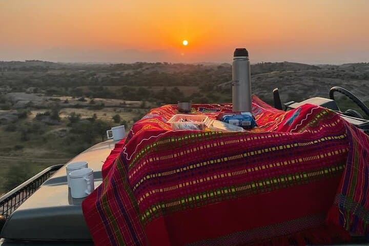 Jawai Leopard Wildlife Safari — Evening Leopard Drive & High Tea at Jawai Bandh photo 5