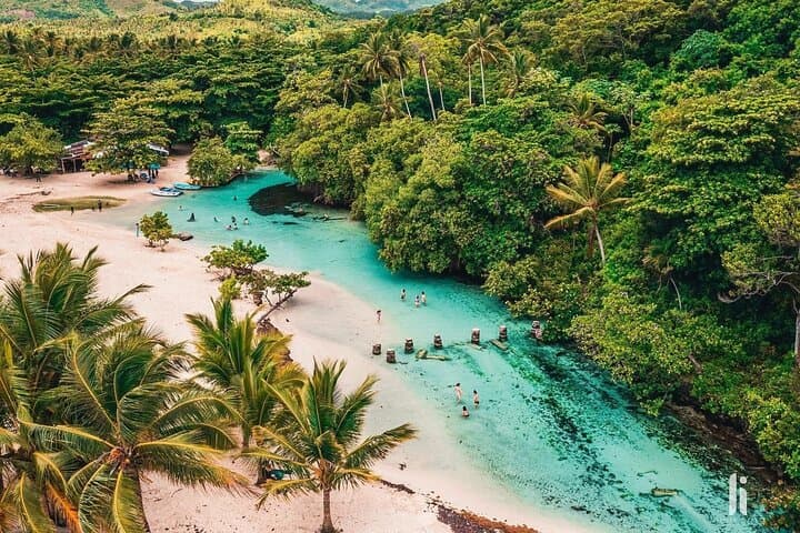 Playa Rincón Safari: Half-Day Beach & River Adventure from Samaná photo 6