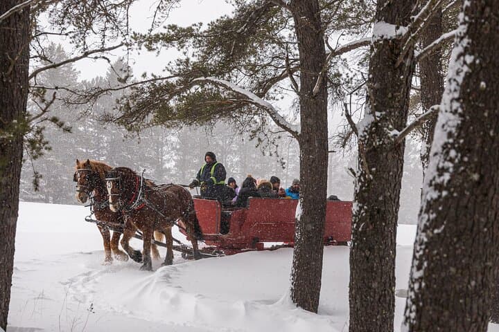 Tremblant Sleighride: Horse-Drawn Evening Ride with Hot Chocolate photo 5