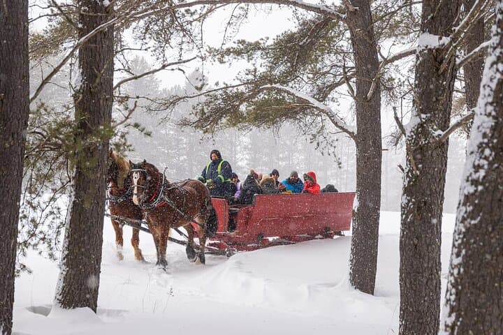 Tremblant Sleighride: Horse-Drawn Evening Ride with Hot Chocolate