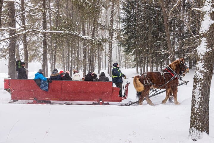 Tremblant Sleighride: Horse-Drawn Evening Ride with Hot Chocolate photo 6