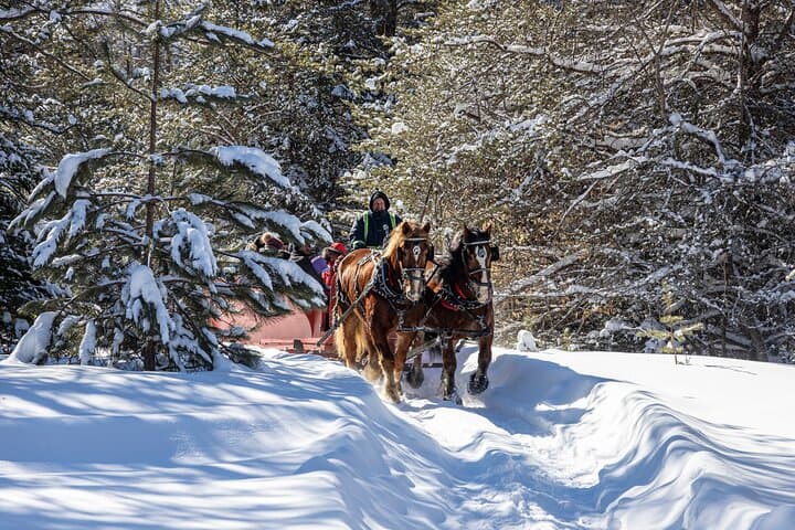 Tremblant Sleighride: Horse-Drawn Evening Ride with Hot Chocolate photo 4