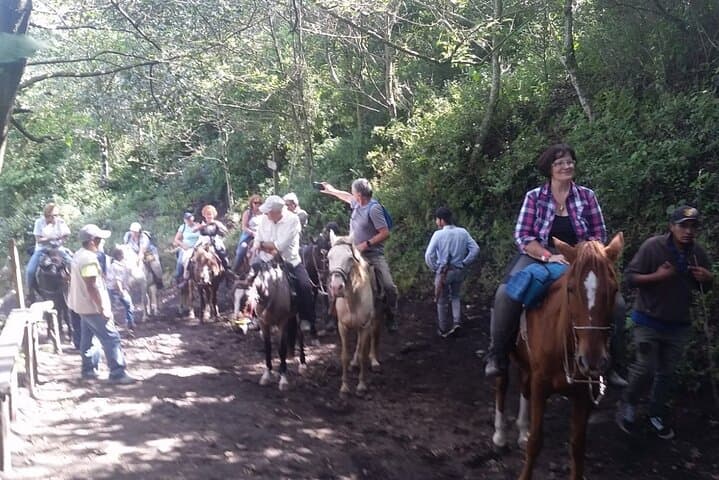 Pacaya Volcano Hike from Antigua — Half-Day Guided Ascent photo 6