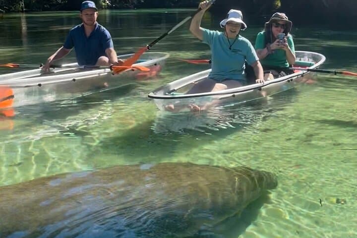 Clear Kayak Manatee Tours on Weeki Wachee River — Winter Wildlife Paddle photo 2