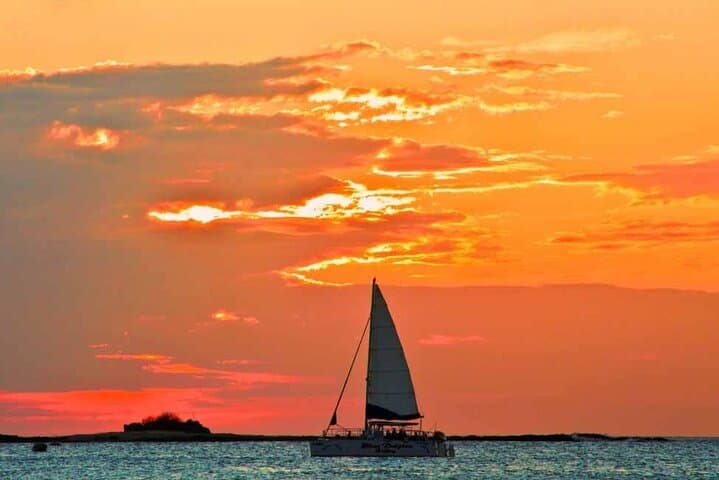 Tamarindo Blue Dolphin Sunset Catamaran — Snorkel, Dolphins & Open Bar Cruise