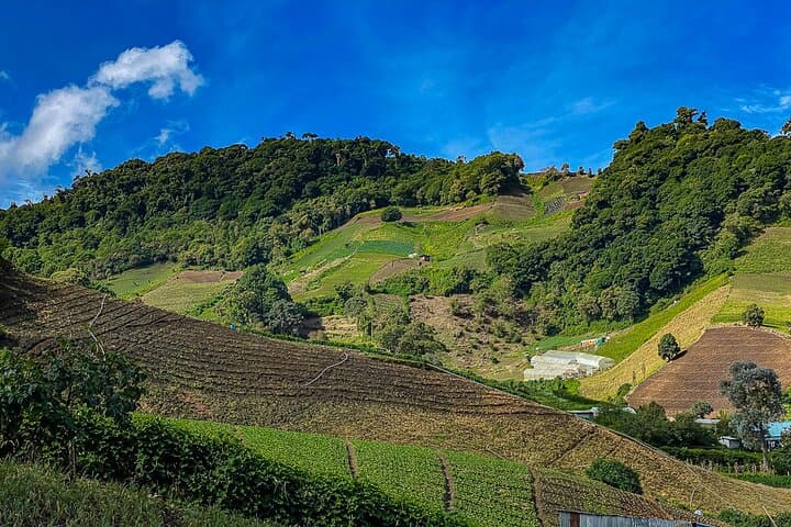 Chiriquí Highlands Full-Day Cultural and Garden Tour with Lunch