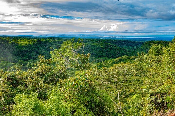 Chiriquí Highlands Full-Day Cultural and Garden Tour with Lunch photo 3