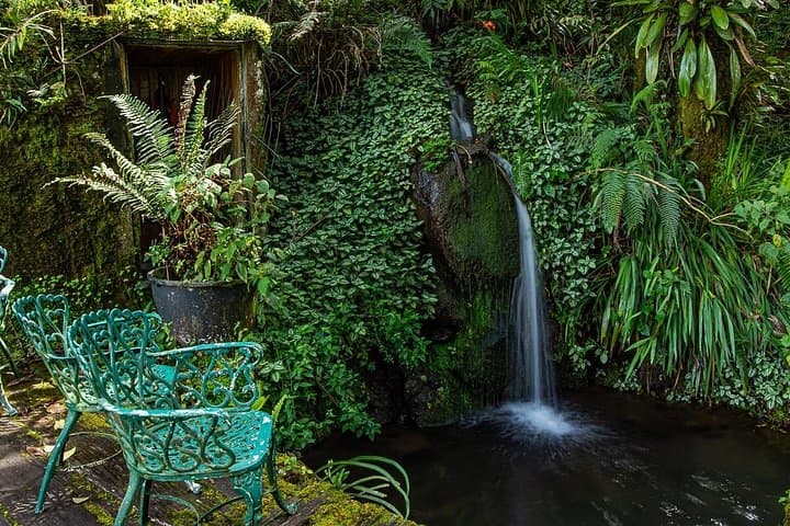 Chiriquí Highlands Full-Day Cultural and Garden Tour with Lunch photo 4