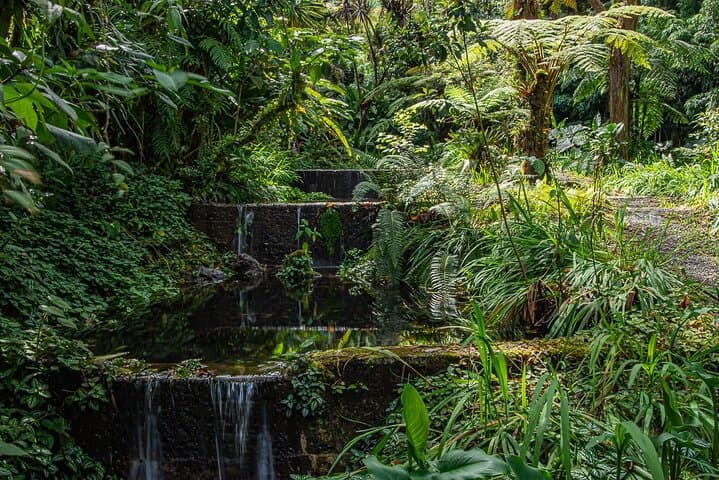 Chiriquí Highlands Full-Day Cultural and Garden Tour with Lunch photo 2