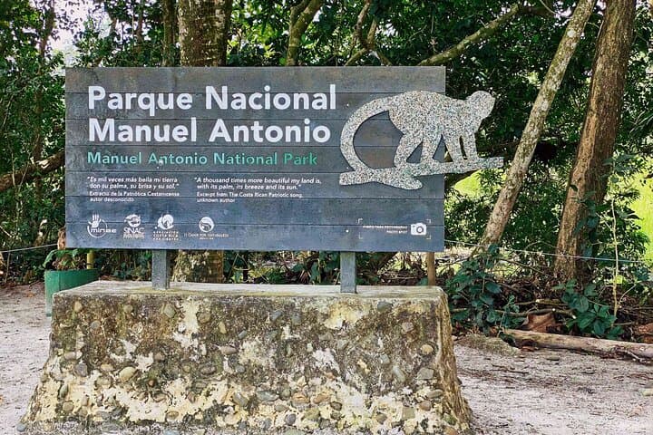 Private Manuel Antonio National Park Guided Walk — Wildlife & Beaches in Manuel Antonio, Costa Rica photo 3