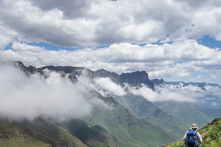 7-Day Private Cape Town to Durban Garden Route Tour with Addo Game Drive photo 4