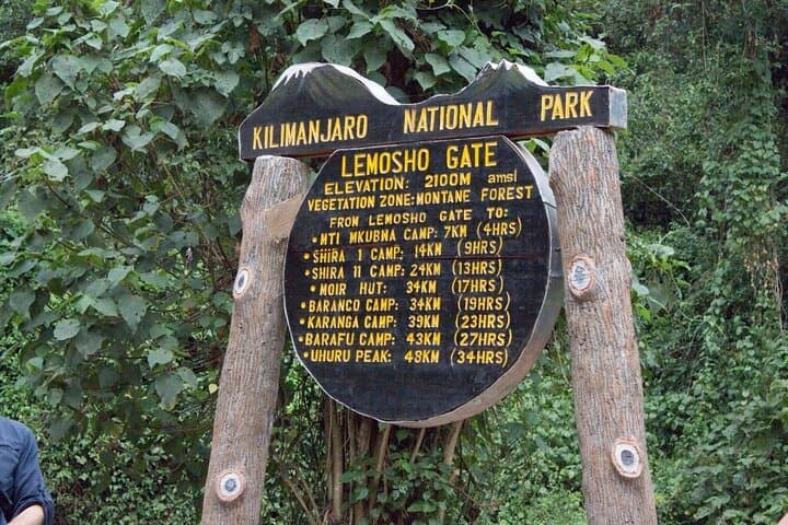 8-Day Lemosho Route Kilimanjaro Climb — Summit Uhuru Peak on a Scenic Route photo 3