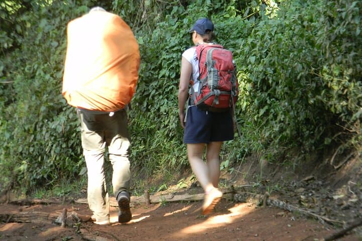 8-Day Lemosho Route Kilimanjaro Climb — Summit Uhuru Peak on a Scenic Route photo 5