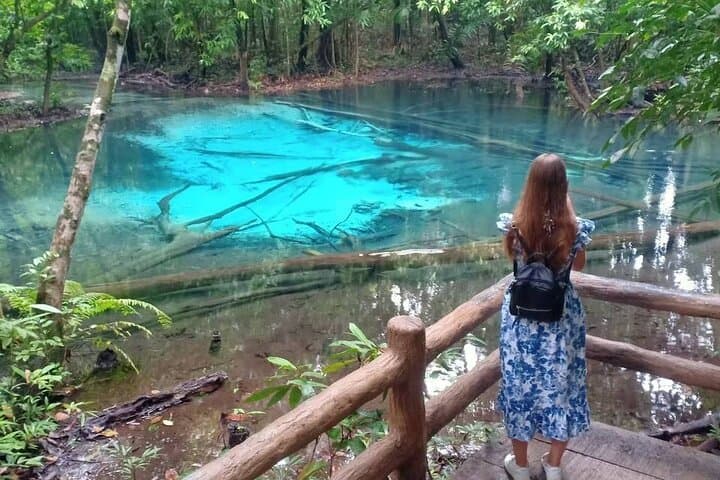 Discover Krabi: Emerald Pool, Hot Springs & Tiger Cave Temple Day Tour