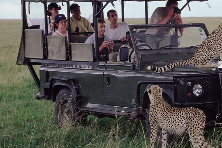 Full-Day Hluhluwe‑Imfolozi Game Reserve Safari from Durban — Big Five 4x4 Adventure photo 2