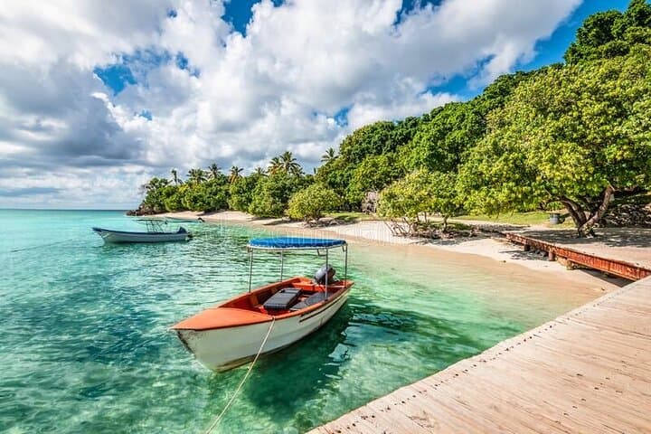 Cayo Levantado (Bacardi Island) Half-Day: Sun, Snorkel and Dominican Flavors photo 5