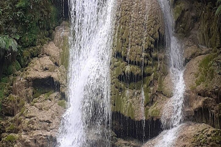 El Limón Waterfall Horseback Tour from Samaná — 4‑Hour Trip with Lunch photo 3