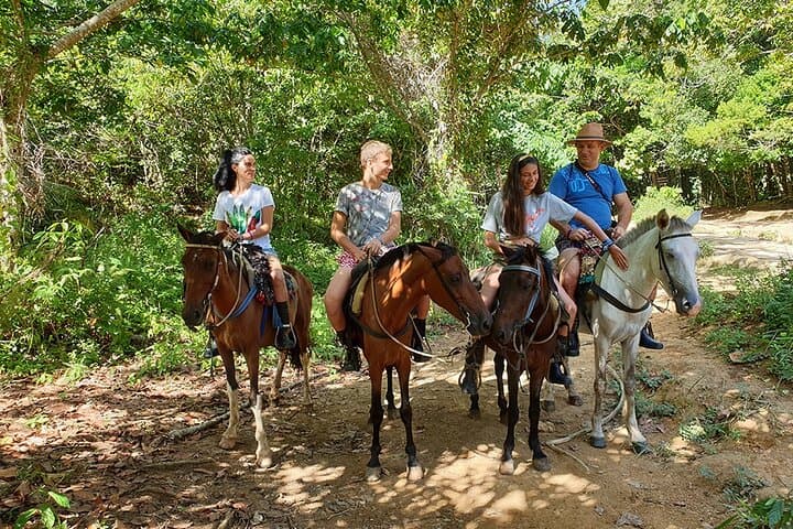 El Limón Waterfall Horseback Tour from Samaná — 4‑Hour Trip with Lunch photo 5