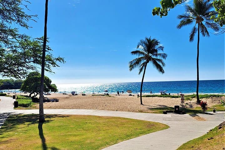 Hapuna Beach to Hawi: Kohala Coast Private Van Tour and Pololu Lookout photo 1