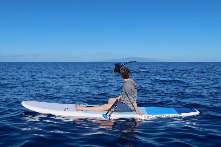 Private SUP Whale Watch in Makena: Paddleboard Humpback Tours Near Wailea photo 1