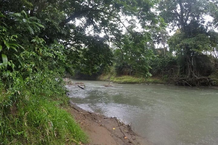 Sunrise River Float on Río Peñas Blancas — Half-Day Wildlife Tour from La Fortuna photo 4